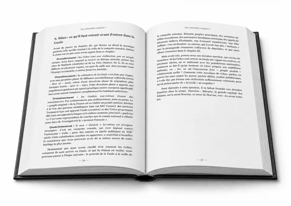 Migrations, mélanges et renouvellements successifs des populations européennes.